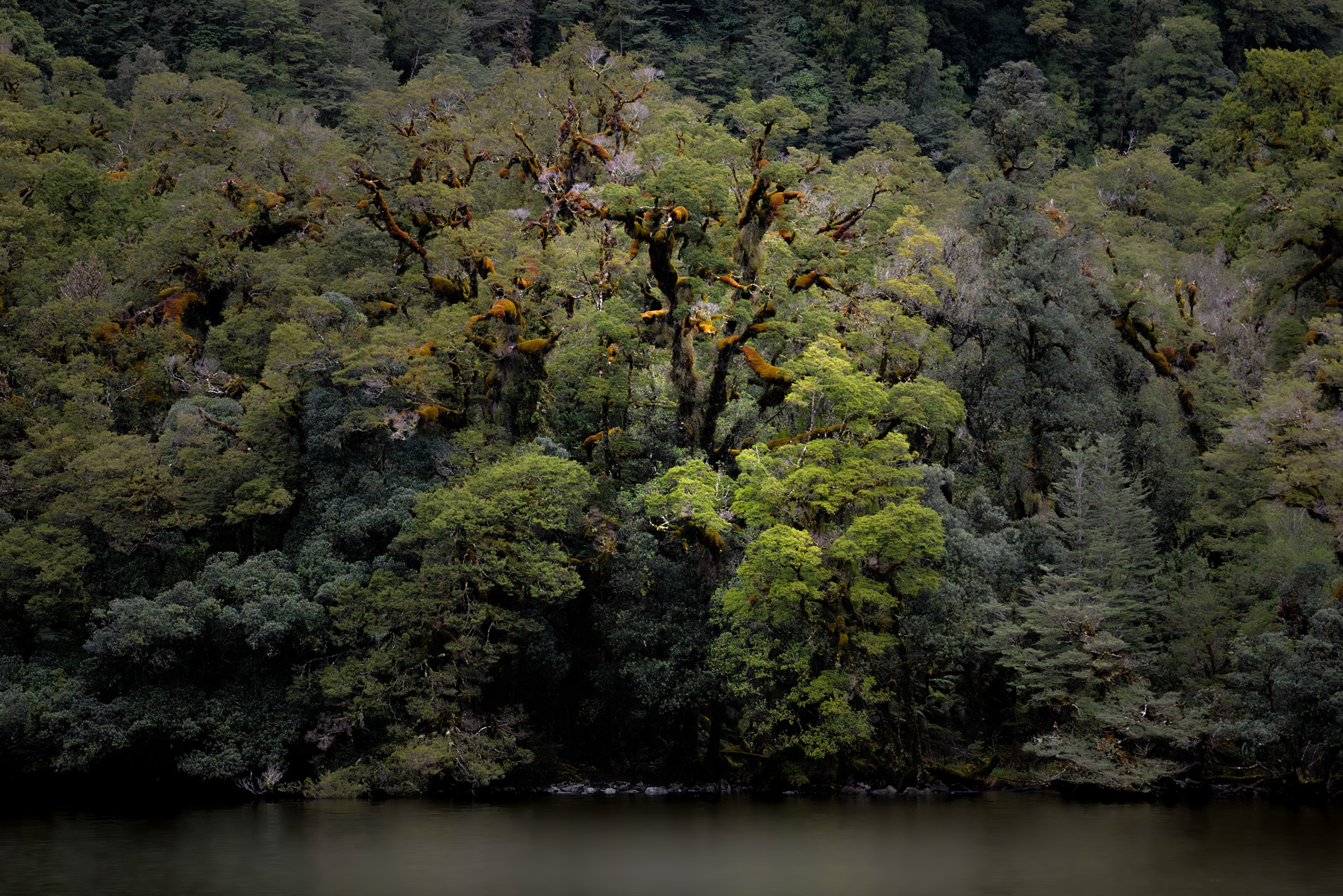 S cott Perkins, Large Lightbox 10, 2026, Michael Reid, Galleries